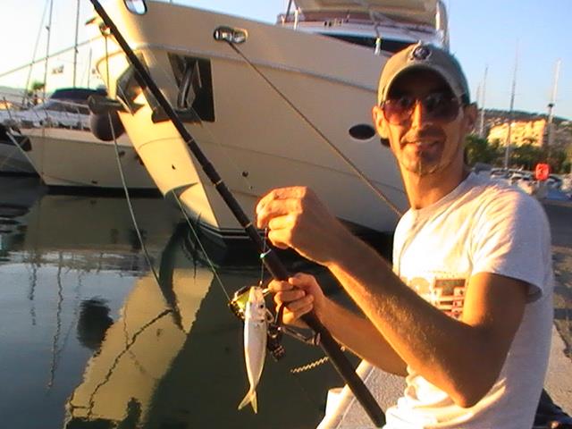 incep sa apara pesti din franta - 2013-09-05-193330.jpg